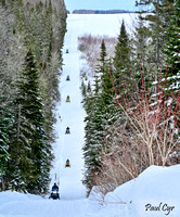 Snowmobiles (16)