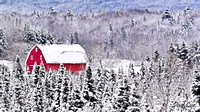 Barns (15)