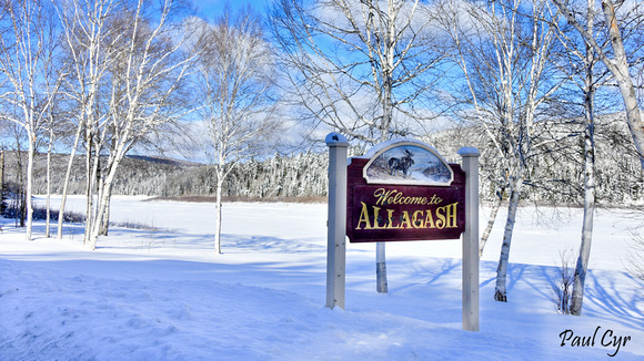 Allagash (8)