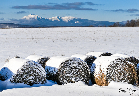 Katahdin (9)