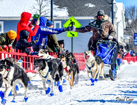 Sled dogs (10)