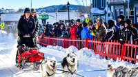 Sled dogs (3)