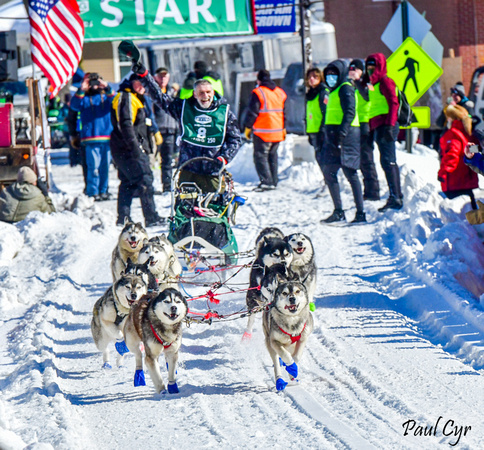 Sled dogs (20)