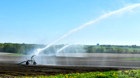 Irrigation (5)