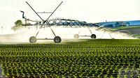 Irrigation (6)