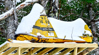 Snowmobiles (18)