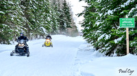 Snowmobiles (19)