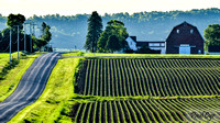 Farm Land Presque isle